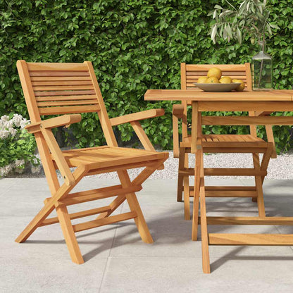 Skládací Zahradní Židle 6 Ks 55X62X90 Cm Masivní Teakové Dřevo