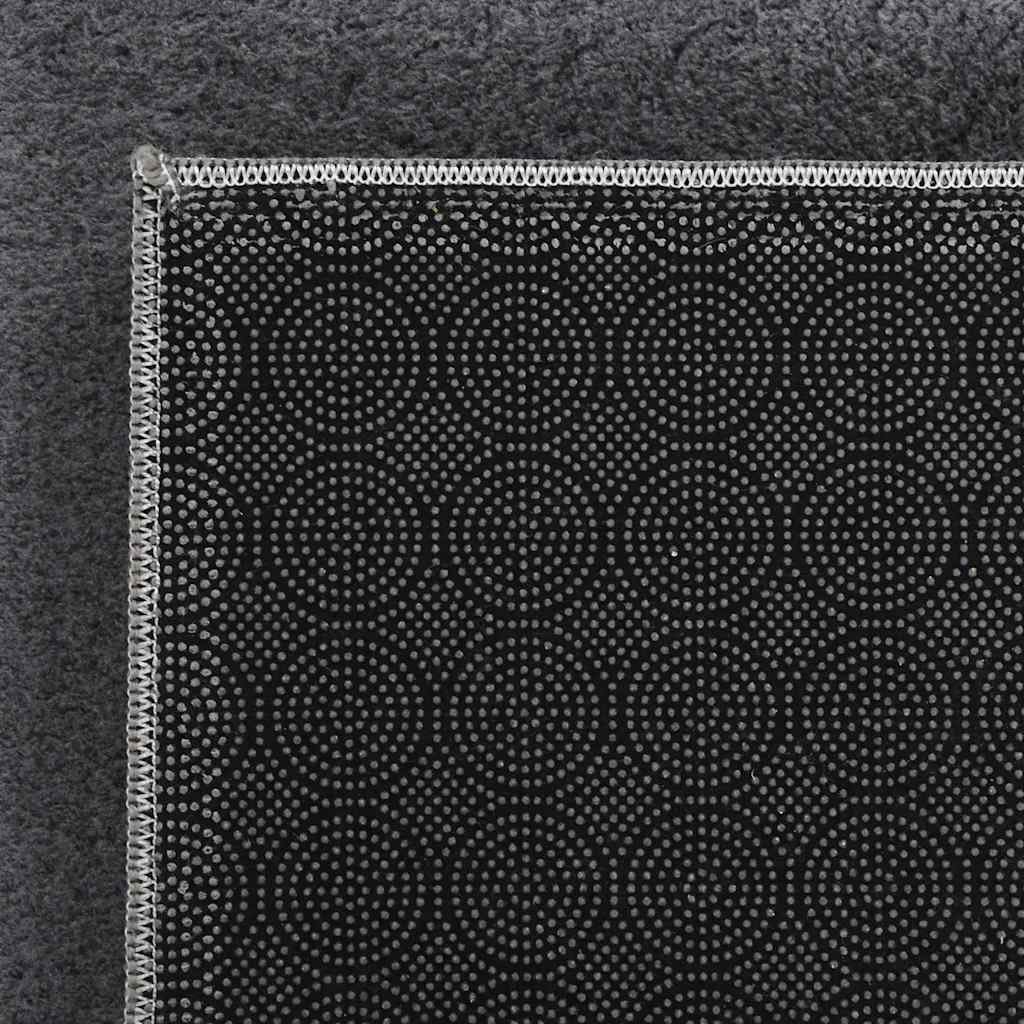 Chlupatý Koberec Antracitový Polyester