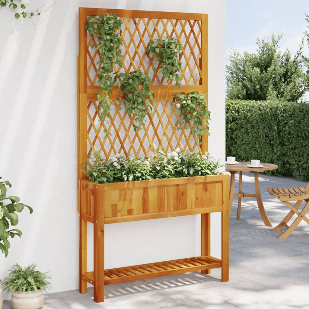 Truhlík S Treláží A Policí 55 X 29,5 X 152 Cm Masivní Akácie