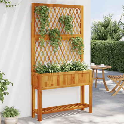 Truhlík S Treláží A Policí 55 X 29,5 X 152 Cm Masivní Akácie