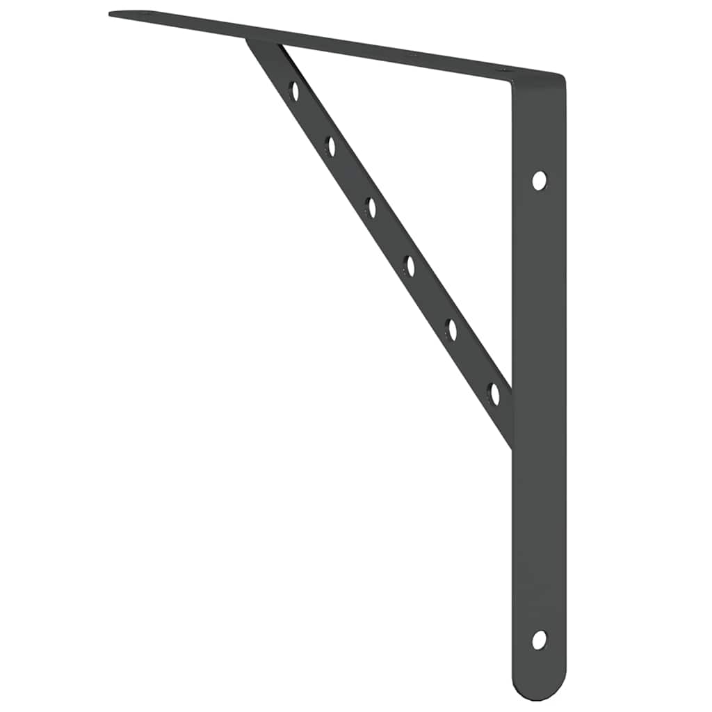 Policové Držáky 4 Ks 40 X 2,5 X 25 Cm Černé Nerezová Ocel