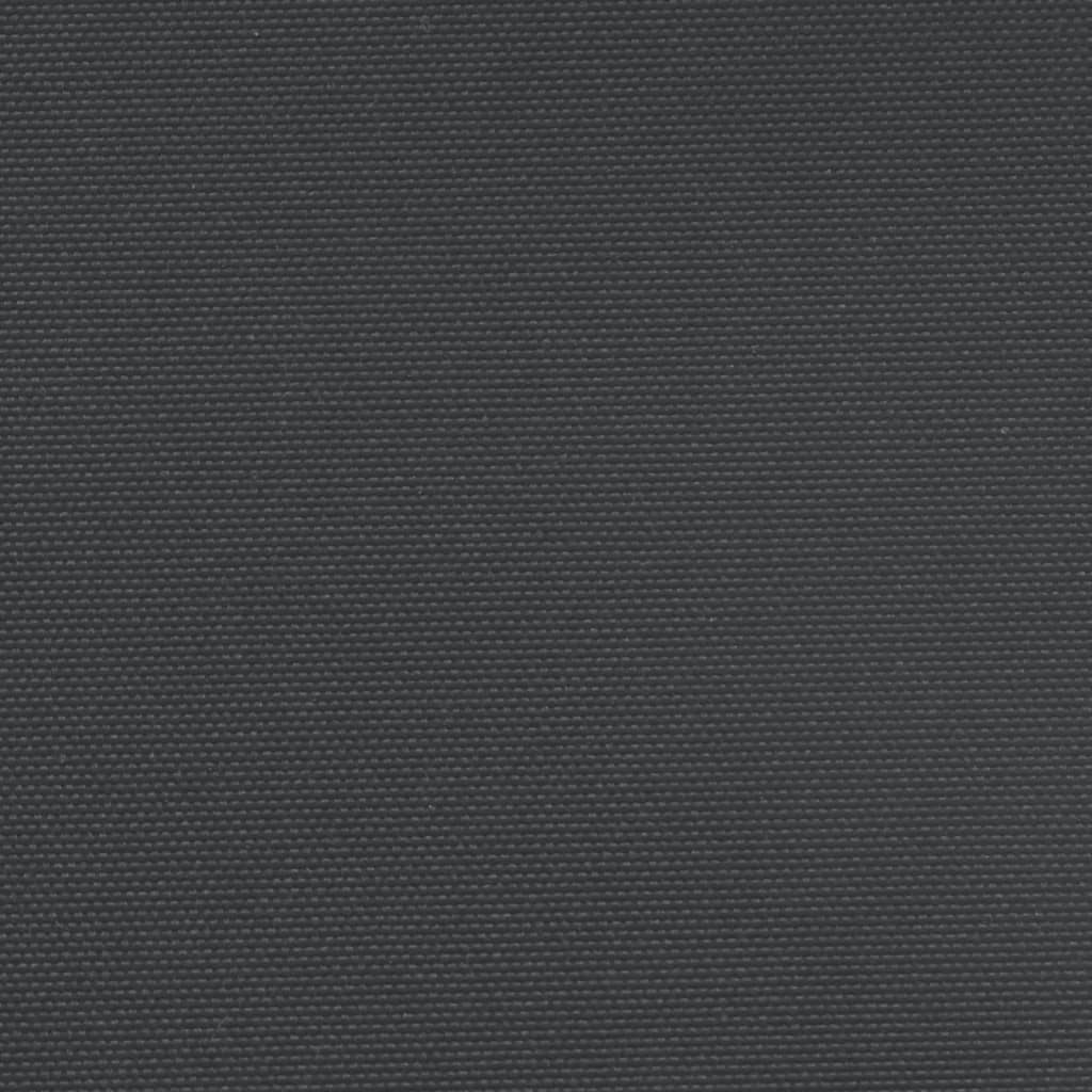 Zatahovací Boční Markýza Černá 220 X 1 200 Cm Černá