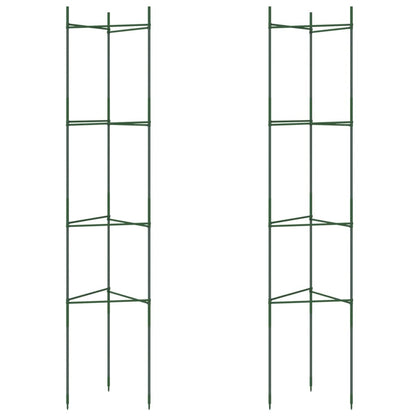 Podpěrná Klec Pro Rajčata 2 Ks Ocel A Pp