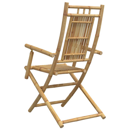 Skládací Zahradní Židle 2 Ks 53 X 66 X 99 Cm Bambus