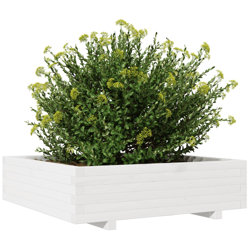 Zahradní Truhlík Bílý 90 X 90 X 26,5 Cm Masivní Borové Dřevo Bílá