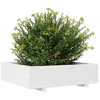Zahradní Truhlík Bílý 90 X 90 X 26,5 Cm Masivní Borové Dřevo Bílá