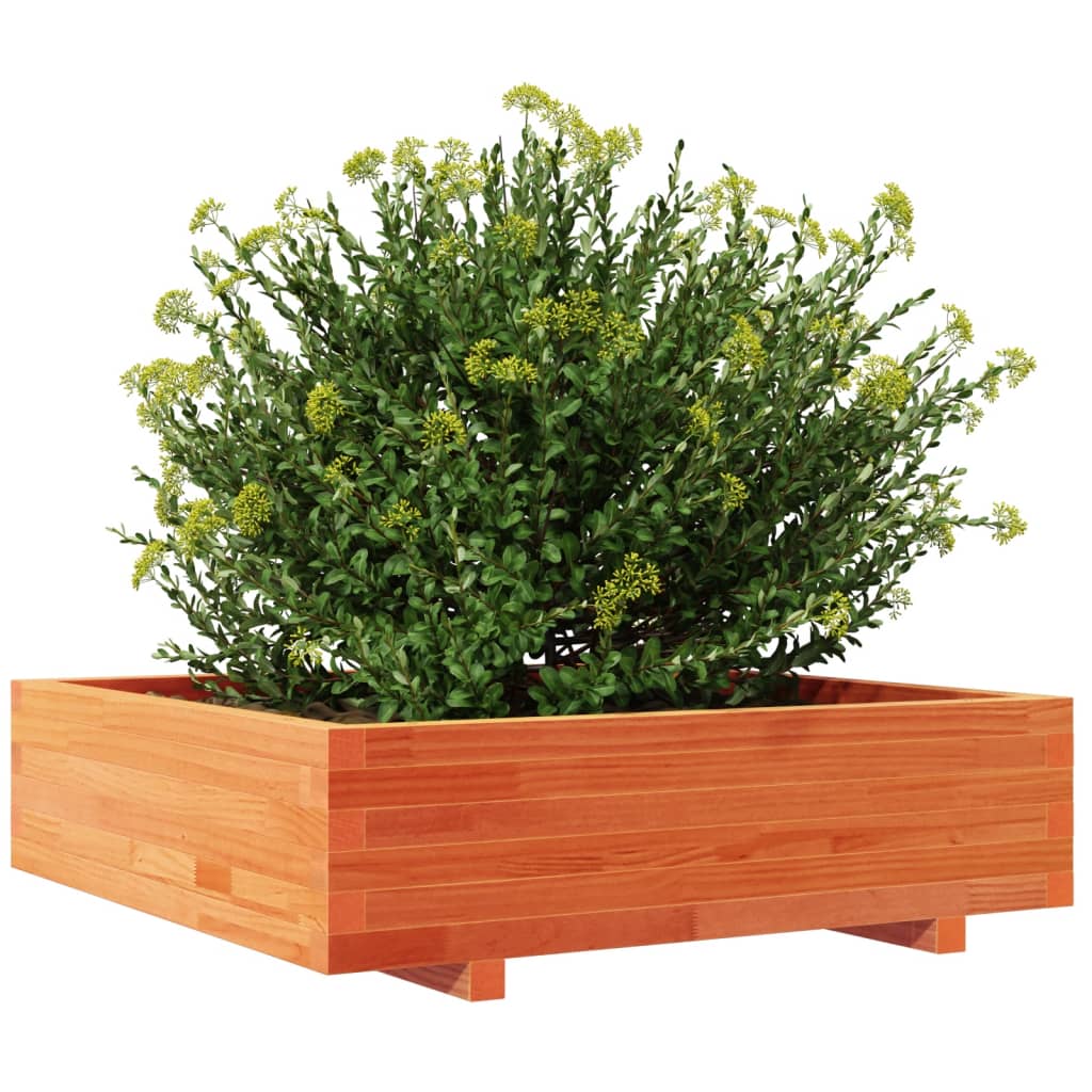 Zahradní Truhlík Voskově Hnědý 90X90X26,5 Cm Masivní Borovice Přírodní Borovice