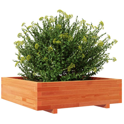 Zahradní Truhlík Voskově Hnědý 90X90X26,5 Cm Masivní Borovice Přírodní Borovice