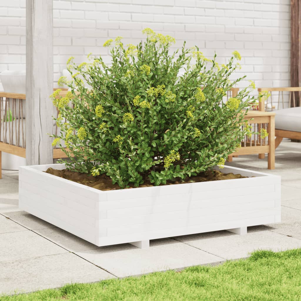 Zahradní Truhlík Bílý 100 X 100 X 26,5 Cm Masivní Borové Dřevo