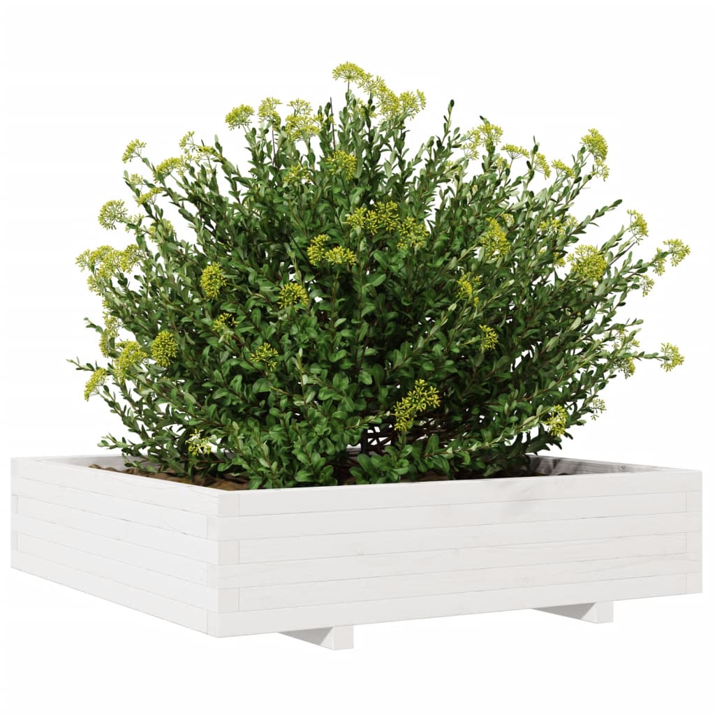 Zahradní Truhlík Bílý 100 X 100 X 26,5 Cm Masivní Borové Dřevo