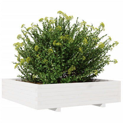 Zahradní Truhlík Bílý 100 X 100 X 26,5 Cm Masivní Borové Dřevo