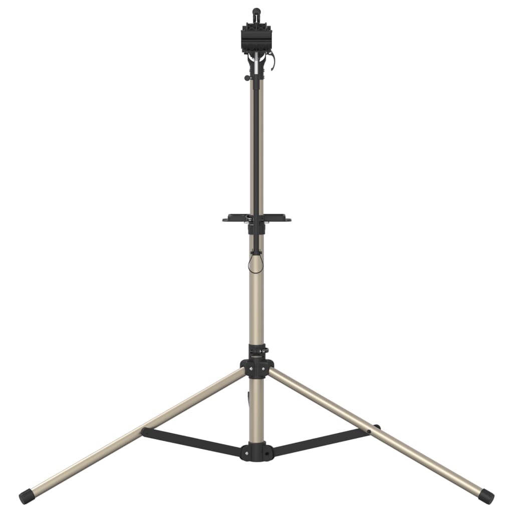 Stojan Na Opravu Jízdních Kol Skládací Nastavitelný 120–165 Cm Taupe