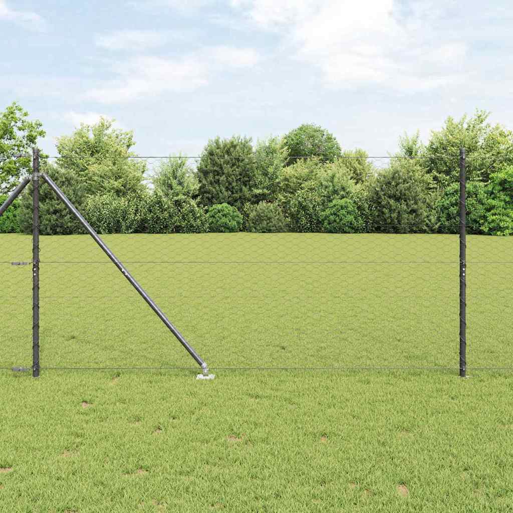 Hexagonální Plot S Podpěrou 10 X 0,5 M