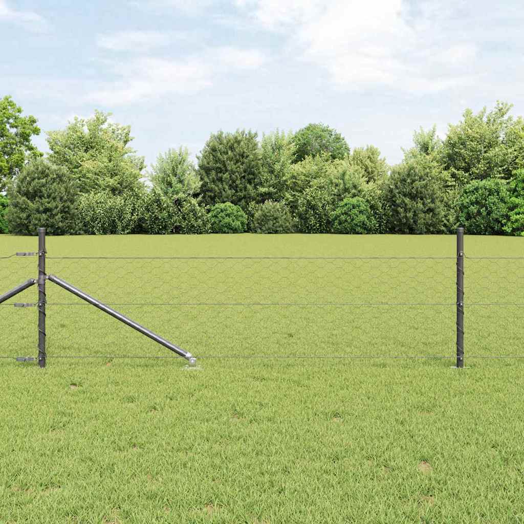 Hexagonální Plot S Podpěrou 10 X 0,5 M