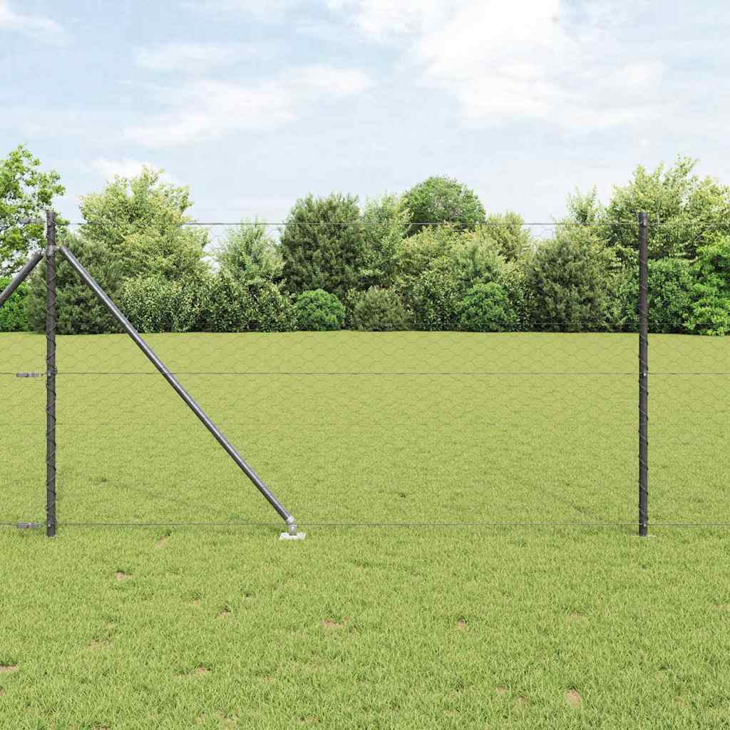 Hexagonální Plot S Podpěrou 10 X 0,5 M