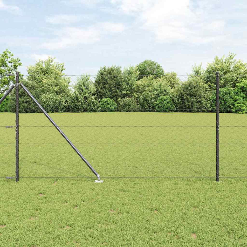 Hexagonální Plot S Podpěrou 10 X 0,5 M