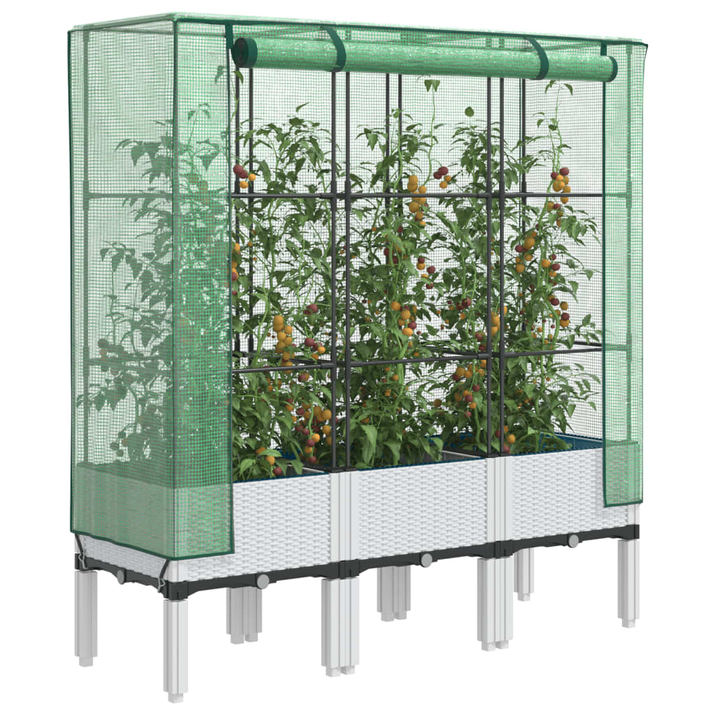 Vyvýšený Záhon Se Skleníkem Ratanový Vzhled