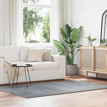 Koberec Shaggy S Vysokým Vlasem Navarra Stříbrošedý Stříbrošedá