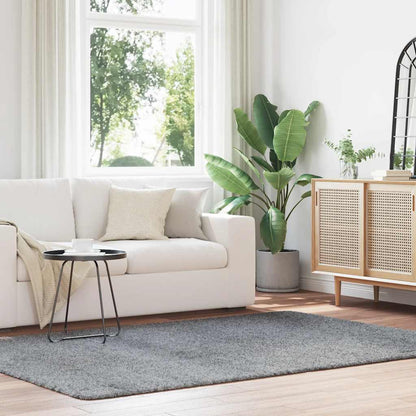 Koberec Shaggy S Vysokým Vlasem Navarra Stříbrošedý Stříbrošedá