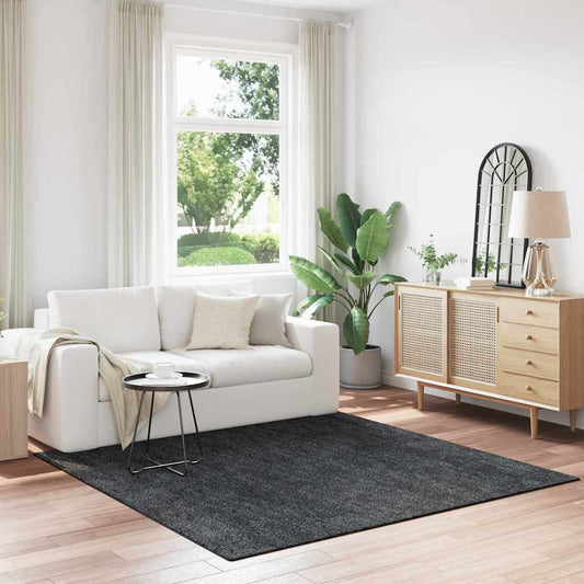 Protiskluzový Shaggy Koberec Tmavě Šedá 200 X 200 Cm Pp
