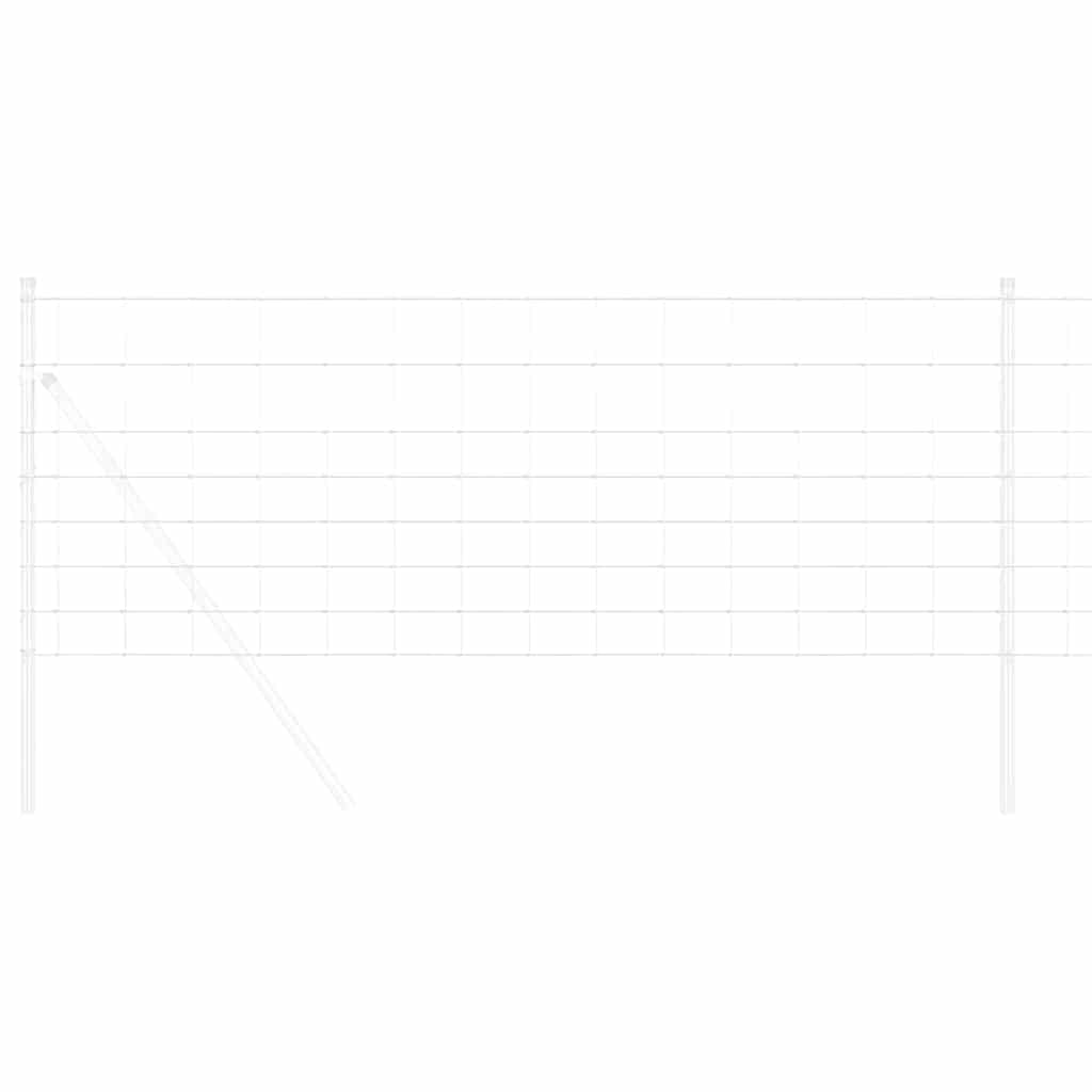 Divoký Plot Horkovzdušné Pozinkované 1000 X 80 X 0,18 Cm Železo