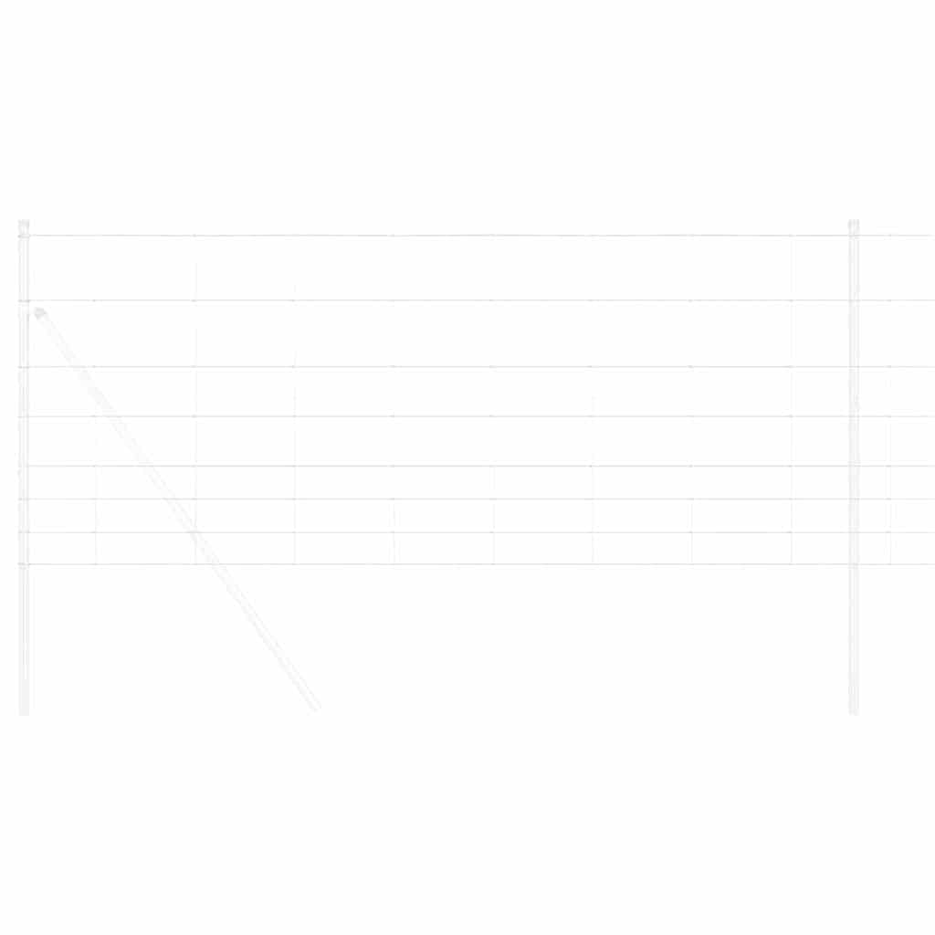 Divoký Plot Horkovzdušné Pozinkované 1000 X 100 X 0,18 Cm
