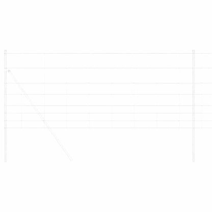 Divoký Plot Horkovzdušné Pozinkované 1000 X 100 X 0,18 Cm