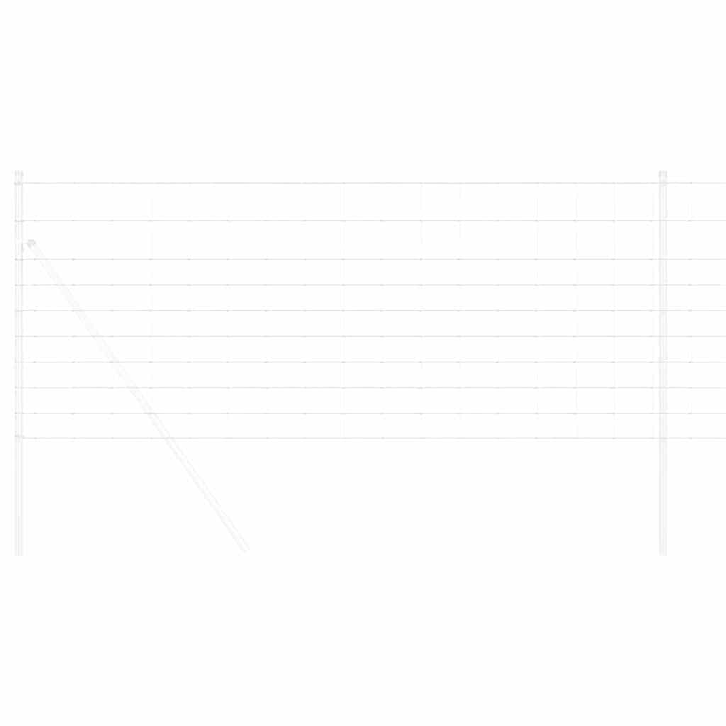 Divoký Plot Horkovzdušné Pozinkované 1000 X 100 X 0.18 Cm