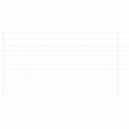 Divoký Plot Horkovzdušné Pozinkované 1000 X 100 X 0.18 Cm