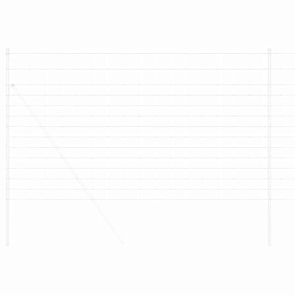 Divoký Plot Horkovzdušné Pozinkované 1000 X 140 X 0.18 Cm