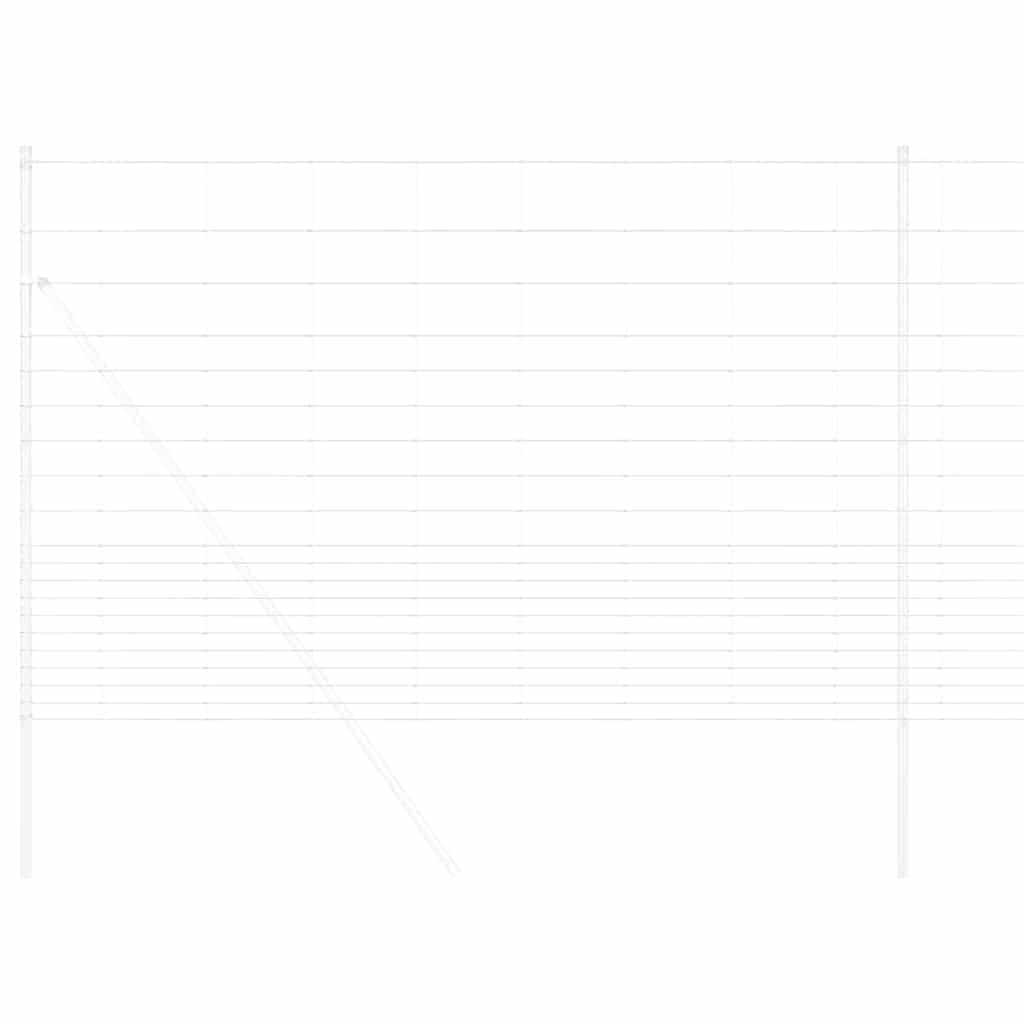 Divoký Plot Horkovzdušné Pozinkované 1000 X 160 X 0.18 Cm