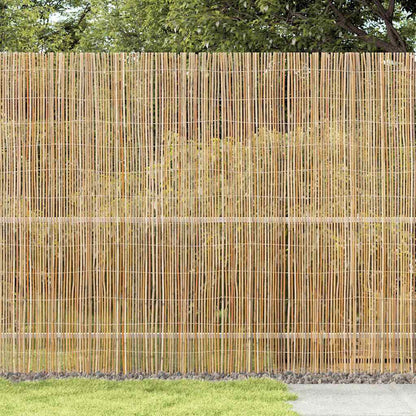 Bambusový Plot Přírodní 300 X 180 Cm Bambus