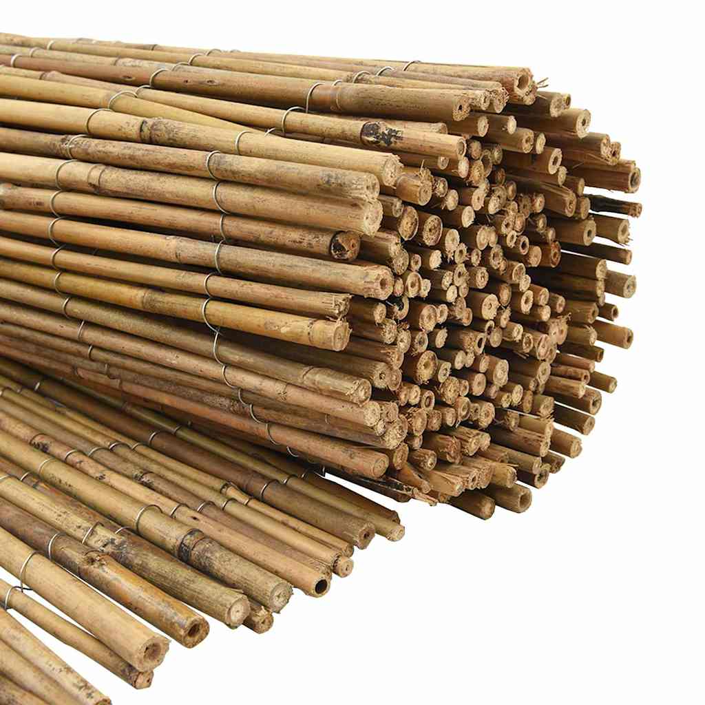 Bambusový Plot Přírodní 600 X 125 Cm Bambus