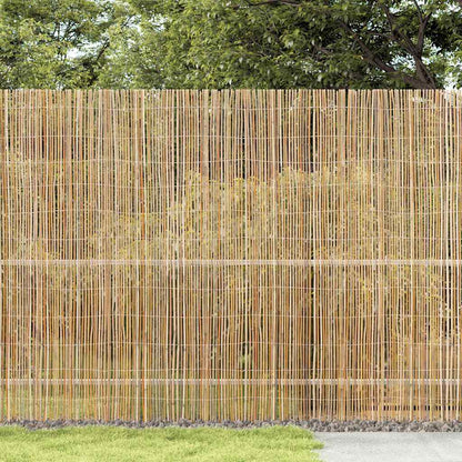 Bambusový Plot Přírodní 500 X 150 Cm Bambus