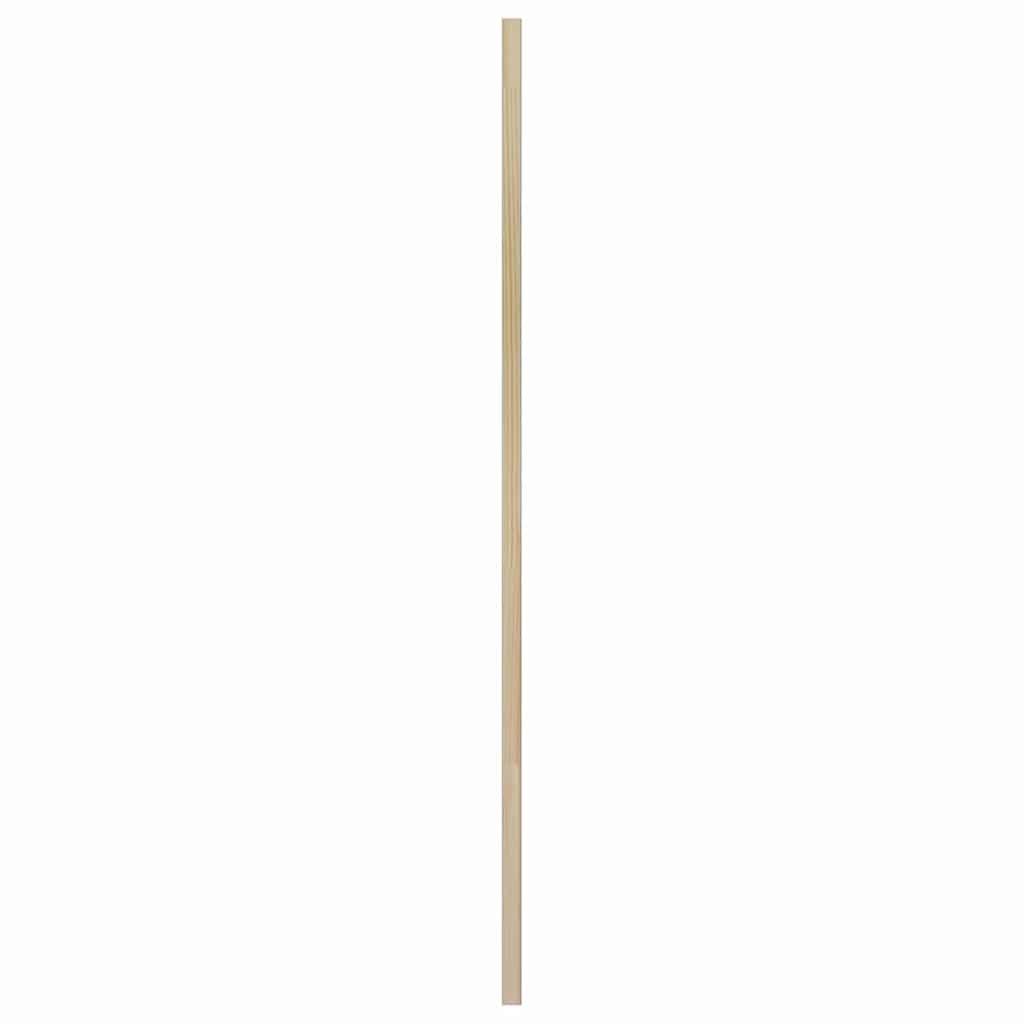 Skříňové Dveře Se Dveřmi 2 Ks Přírodní 49,5 X 2,1 X 110 Cm