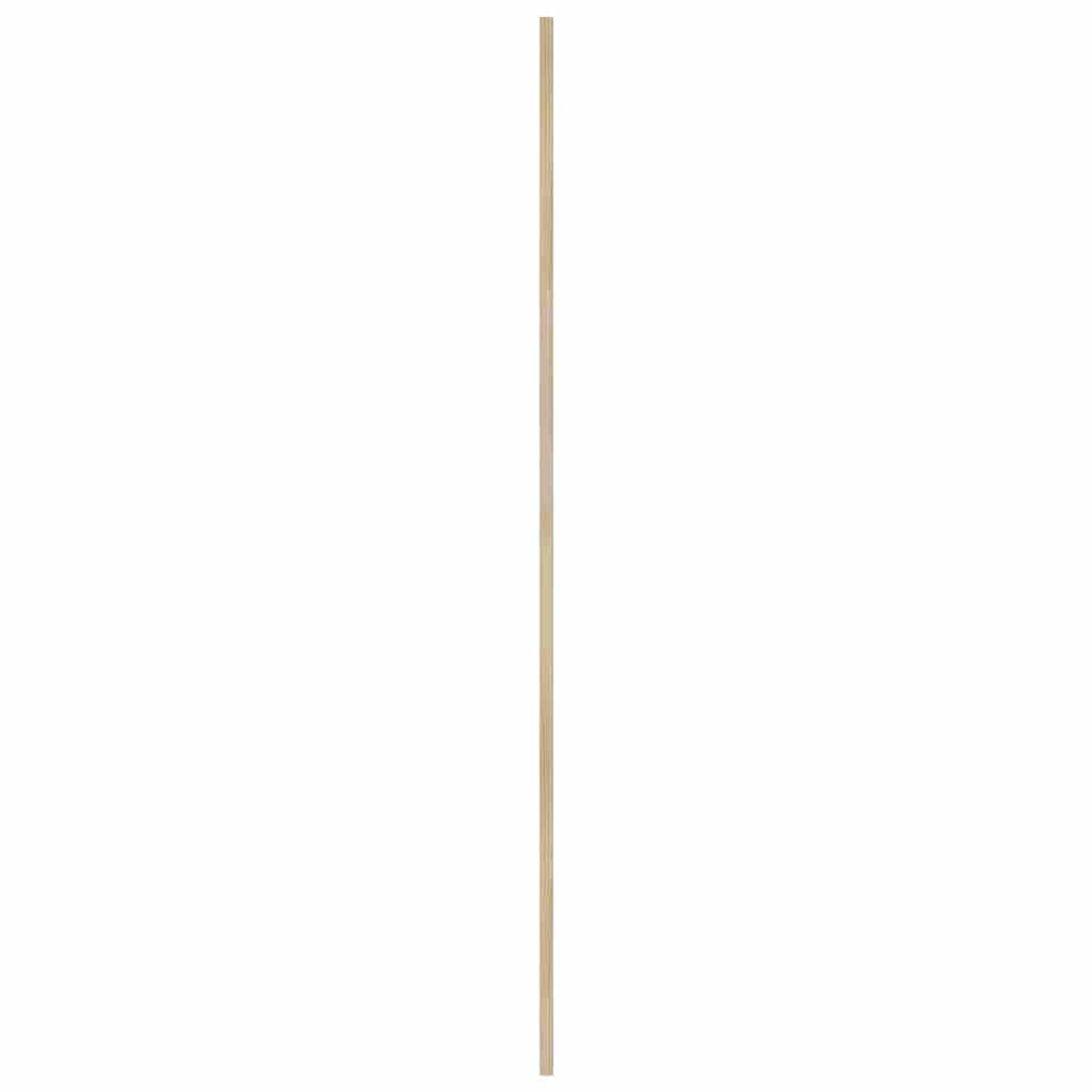 Skříňové Dveře Se Dveřmi 2 Ks Přírodní 170 X 2,1 X 39,5 Cm