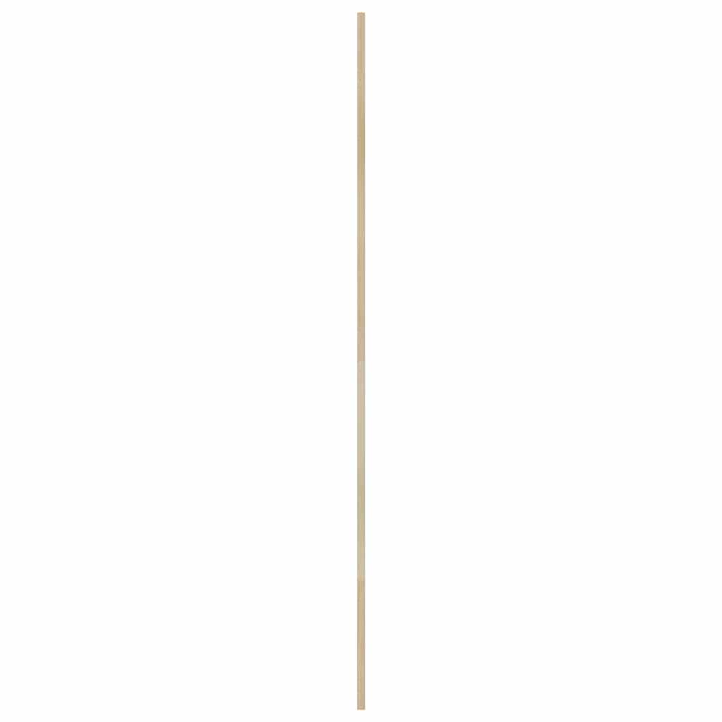 Skříňové Dveře Se Dveřmi 2 Ks Přírodní 201 X 2,1 X 39,5 Cm