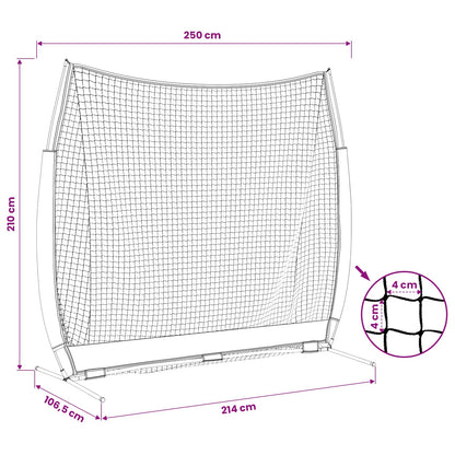 Síť Na Trénink Baseballu Černá 250 X 106,5 X 210 Cm Polyester