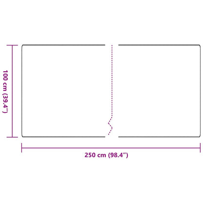 Běhoun Tmavě Šedá 100 X 250 Cm 100% Polypropylen