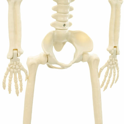 Halloweenský Kostlivec 2 Ks Bílá 85 Cm Pvc