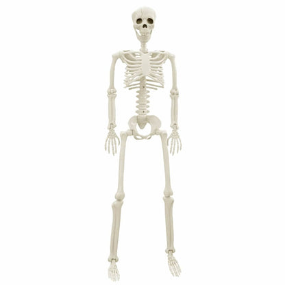 Halloweenský Kostlivec 2 Ks Bílá 85 Cm Pvc