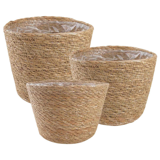 3 Ks Ø26 X 19 Cm 100% Mořská Tráva