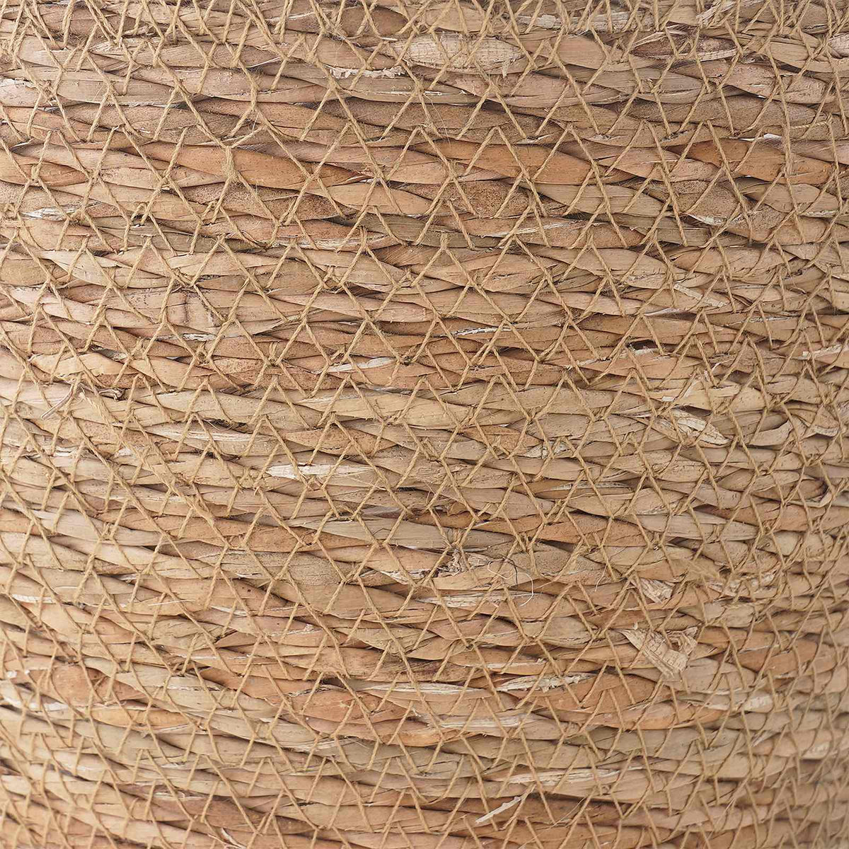 3 Ks Ø26 X 19 Cm 100% Mořská Tráva