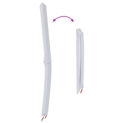 Rampy Na Motocykly 680 Kg 2 Pcs Stříbrná 205 X 28 X 5 Cm Hliník