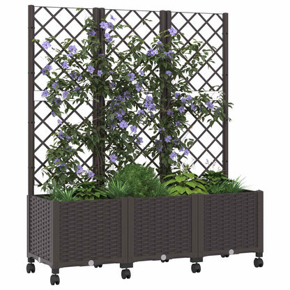 Zahradní Truhlík S Treláží A Koly Hnědá 120 X 40 X 146 Cm Pp