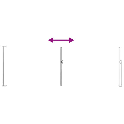 Výsuvná Boční Markýza 300 X 100 Cm Polyester Obdélníkový Taupe