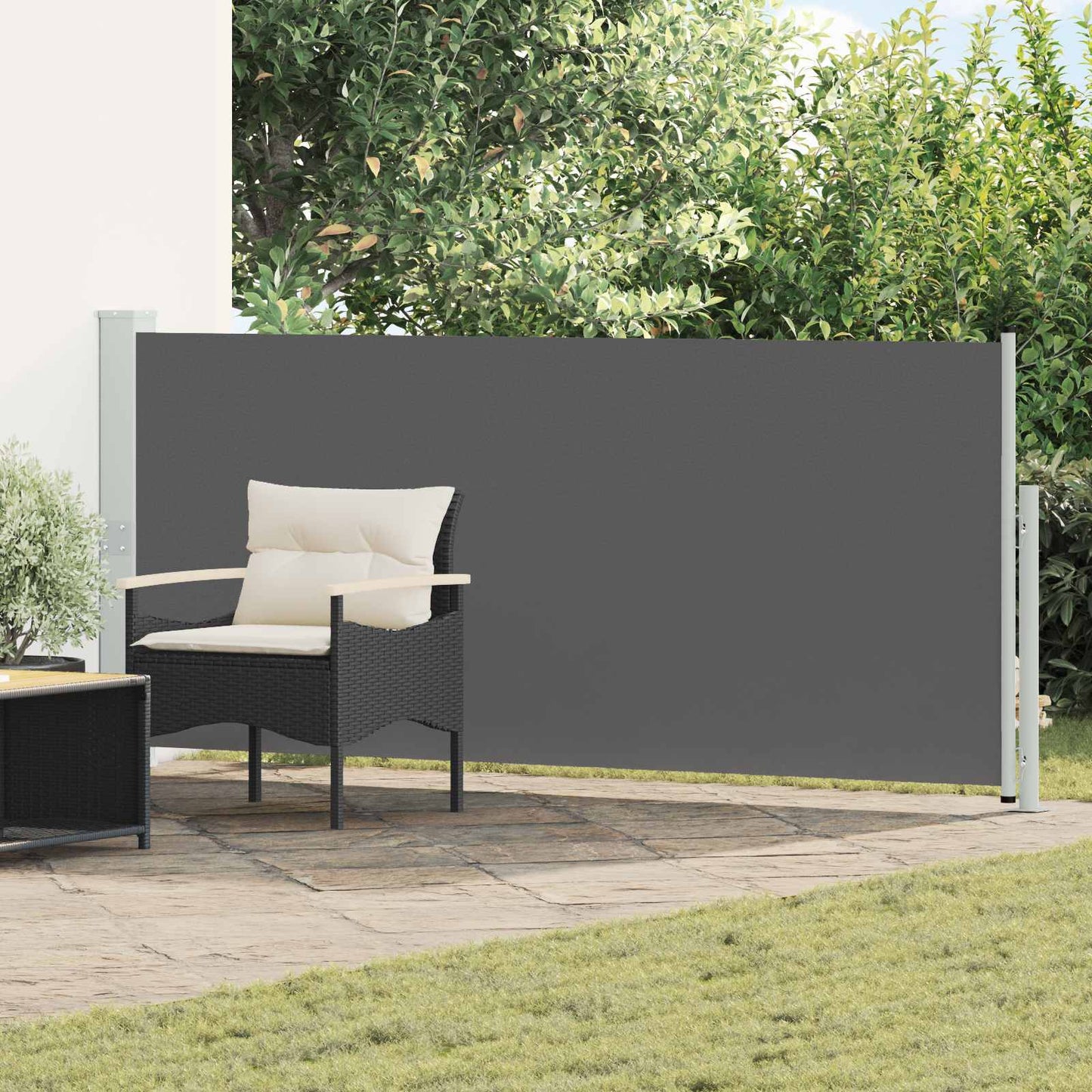 Výsuvná Boční Markýza 170 X 300 Cm Polyester Obdélníkový