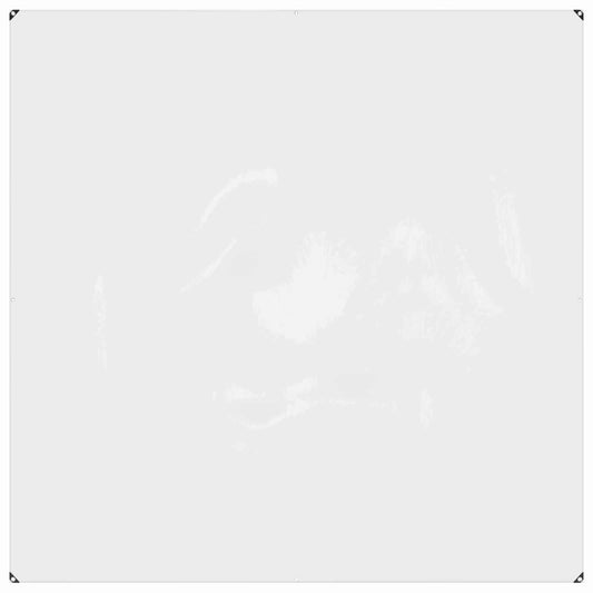 Pokrytí Rostlin Transparentní 2 X 2 M Pvc