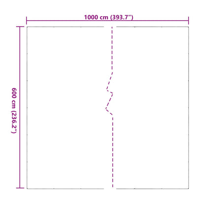 Pokrytí Rostlin Transparentní 6 X 10 M Pvc