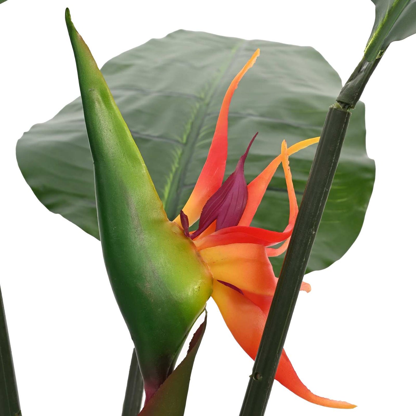 Umělá Rostlina Strelitzia Zelená 70 X 18 X 155 Cm Textil A Pe